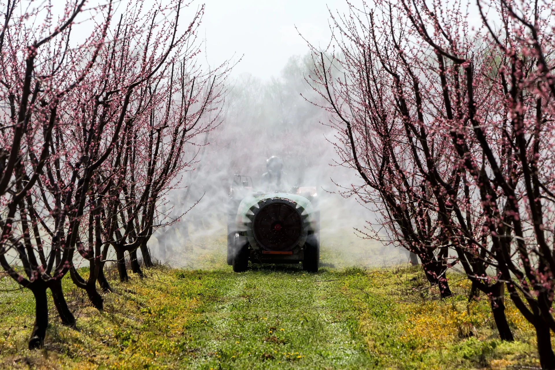 tractor spraying chemicals over a field